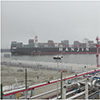 2016 – Cegelec BV – Rotterdam Gate Terminal